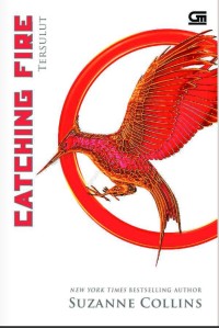 Image of Catching Fire : Tersulut